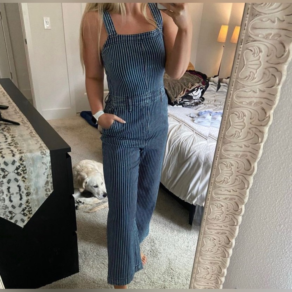 Denim Striped Jumpsuit